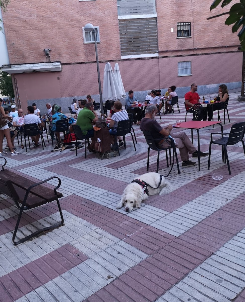 Slide Background Image